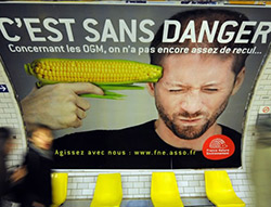 Щем-нещем ГМО ни карат да ядем