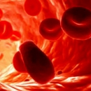 Как да се предпазим от заболявания на кръвта