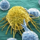 При 42,5 градуса раковите клетки умират