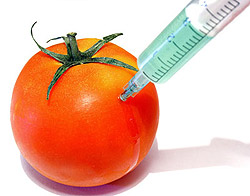 Генно модифицирани храни ГМО