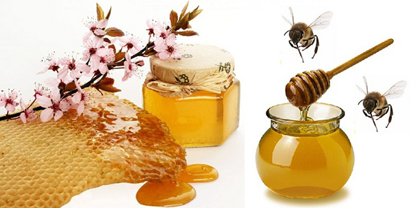 мед и пчели