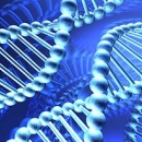 Фантомният ефект на ДНК