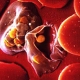 Зепер“ и малария, гастроентерит, парализа и много други заболявания