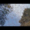 Странната тайна истина